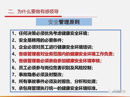 精品ppt 落實直線組織安全管理 有感領導 直線責任 屬地管理